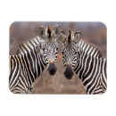 Recherche de parc national de kruger magnets Animal