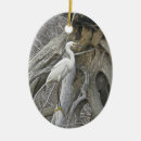 Search for egret ornaments Nature