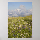 Search for mt baker posters Landscape