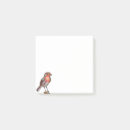 Search for bird post it notes Robin