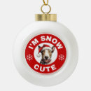 Recherche de bull terrier ornements Neige