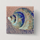 Recherche de coquillage badges Nautique