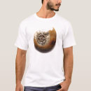 Search for sustainable tshirts Inspirational