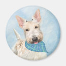 Recherche de balai magnets Scottie
