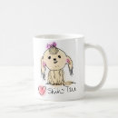 Recherche de tzu mignon de shih Shihtzu