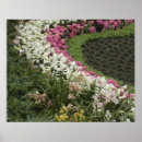 Search for micro posters Botanical