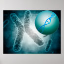 Recherche de microbiologie posters Détail