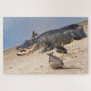 Recherche de alligator puzzles Faune