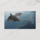 Search for dolphin business cards Diving