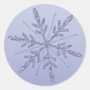 Recherche de flacons autocollants Flocons de neige