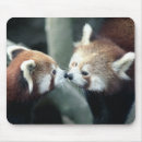 Search for panda mousepads Animal