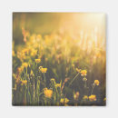 Recherche de bouquet de ressort magnets Nature