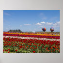 Search for tulipe posters Photography