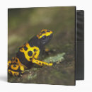 Search for poison binders Yellow