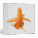 Search for looking front binders Swimming