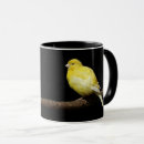 Search for canary mugs Finch