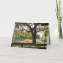 Search for scripture cards Nature