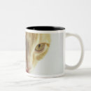 Search for dairy mugs Drink