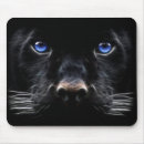 Search for panthers mousepads Cats