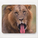 Search for lion head mousepads Africa