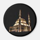 Search for mosque magnets Light