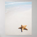 Recherche de angler posters Nature