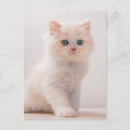 Recherche de plié posters Animal domestique