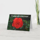 Recherche de buisson invitations Fleur