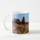 Search for sea lion mugs Nature