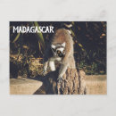 Search for madagascar postcards Nature