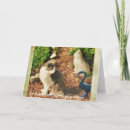 Search for plan cards Happy