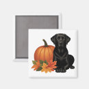 Search for black lab magnets Black labrador retriever