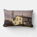 Recherche de terre neuve coussins Drapeau