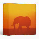 Search for walking binders Africa