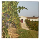 Recherche de vignoble carreaux Agriculture