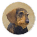 Search for dachshund knobs and pulls Puppy