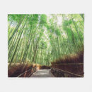 Search for bamboo forest Sagano