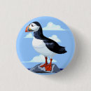 Search for puffin buttons Wildlife