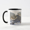 Search for hudson bay mugs Polar bear