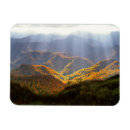 Recherche de la montagne magnets Forêt