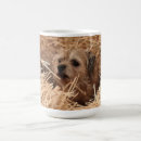 Search for border terrier drinkware Terriers