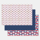 Search for barbecue gift wrap Usa