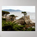 Recherche de value poster paper posters Photographie