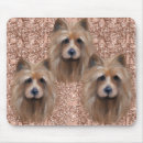 Search for australian terriers electronics Australian silky terrier