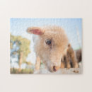 Search for sheep puzzles Portrait
