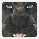 Search for black panther cat stickers Feline