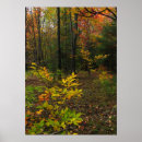 Search for deciduous posters Landscape