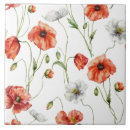 Recherche de pavots sauvages carreaux Jardin
