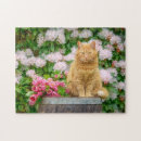 Search for orange cat puzzles Cute