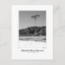 Recherche de palmier noir et blanc cartes postales Plage